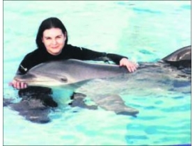 Image related to story 3993985, see caption or article text